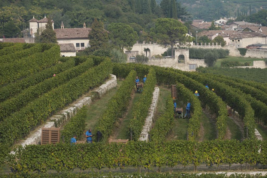 Villa Della Torre Фумане Экстерьер фото